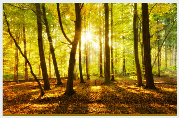 Herfst